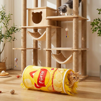The Crunchy Fun Your Cat Can’t Resist