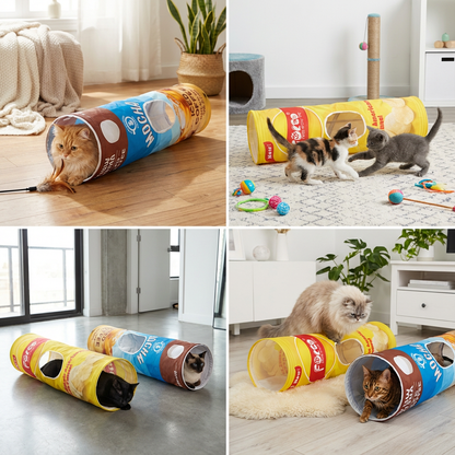 The Crunchy Fun Your Cat Can’t Resist