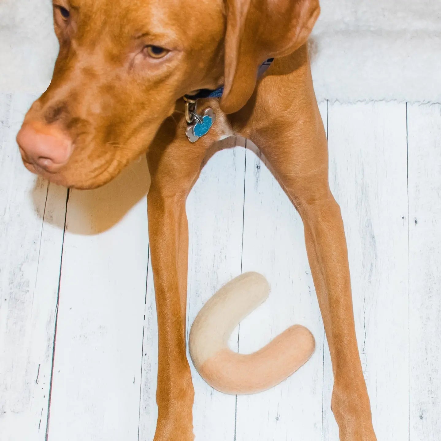 Archie Felt Wool Toy