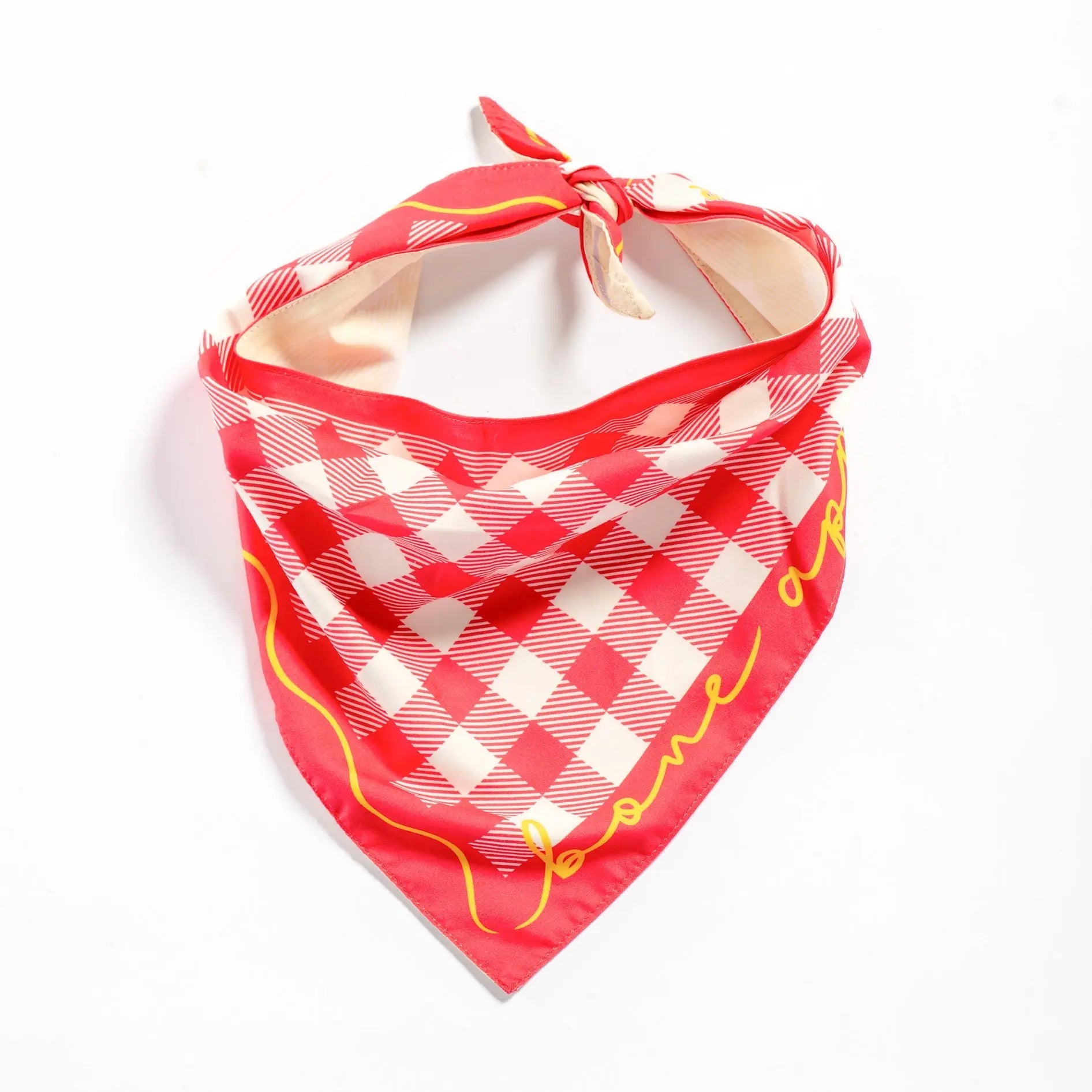 Bone Appétit Reversible Bandana