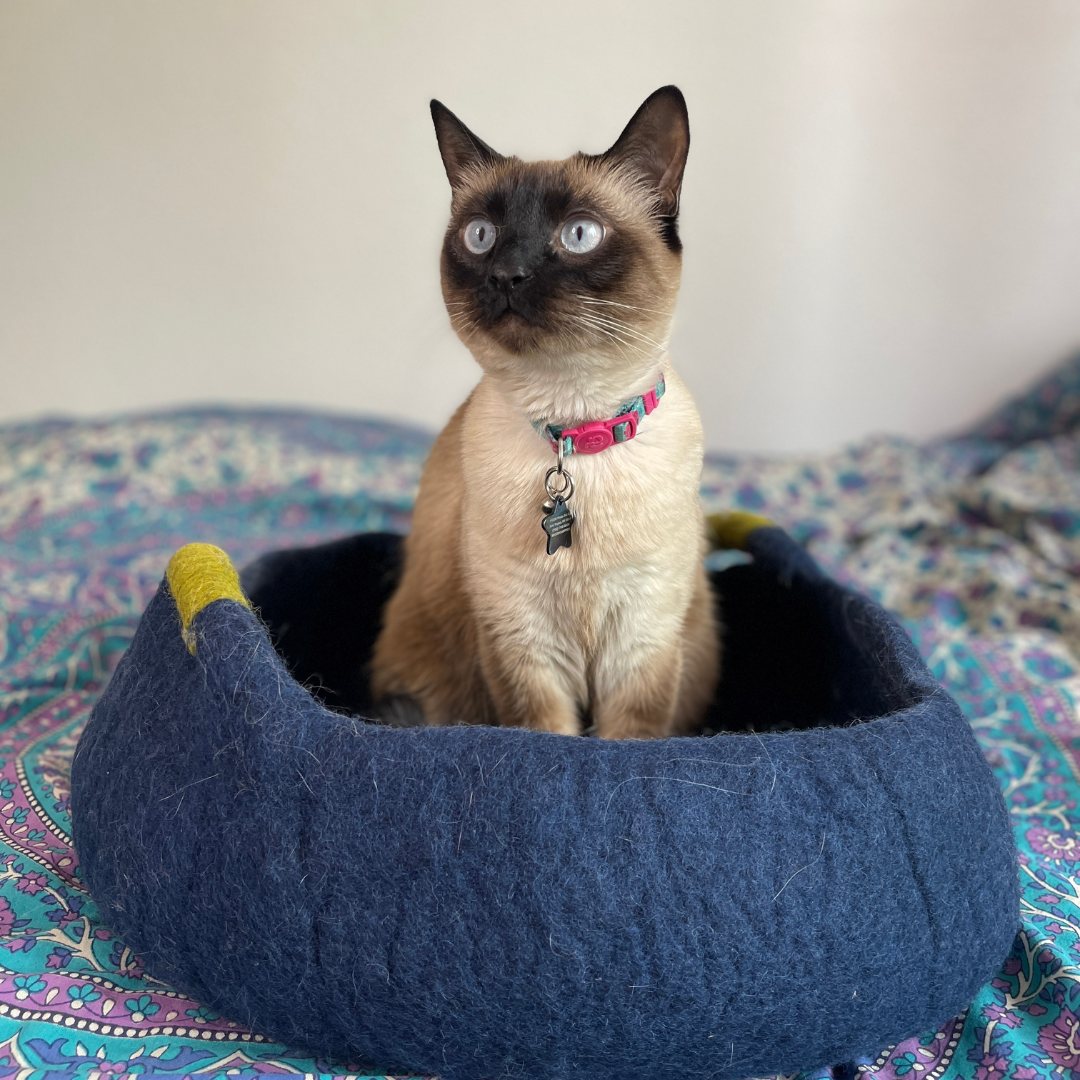 Distinctly Himalayan Handmade Wool Cat Bed with Handles (for small dogs too!)