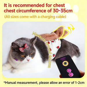 How to calm a cat in heat at night and stop loud howling instantly